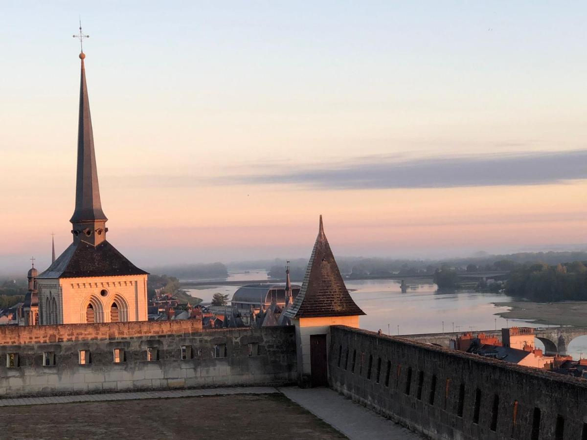 Bulles De Loire Bed & Breakfast Saumur Exterior photo